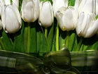 Wiązanka, Białych, Tulipanów, Zielona, Kokardka