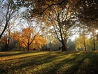 Park, Ludzie, Przebijające, Światło, Liście, Jesień