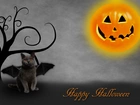 Halloween, Kot, Dynia, Drzewo