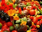 Warzywa, Owoce, Kwiaty, Nasturcji
