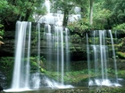 Wodospad, Russell Falls, Australia