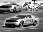 Ford Mustang, Shelby, GT500, Trufieber, Vossen Wheels