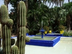 Egzotyczny, Ogród, Fontanna, Kaktus