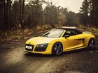 Audi R8, Las, Droga