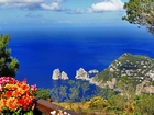 Morze, Skały, Kwiatki, Capri