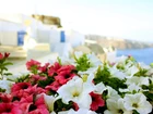 Grecja, Piękne, Kwiaty