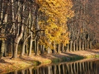 Park, Jesień, Drzewa, Staw