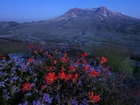 Wulkan, Mount St. Helens, Łąka, Noc, Gwiazdy