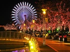 Tokio, Nocą, Drzewa, Dekoracje