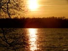 Jezioro, Zachód, Słońca, Gałęzie