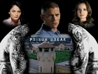 Prison Break, plecy, wieża, Robin Tunney, Sarah Wayne Callies, Wentworth Miller