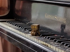 Danbo, Pianino