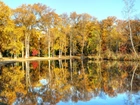 Park, Jesień, Staw