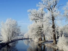 Zima, Rzeka, Oszronione, Drzewa