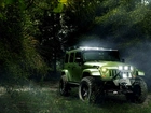 Jeep Las, Promienie Słońca, Poranek