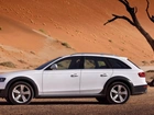 Audi, A4 AllRoad , Pustynia, Drzewo