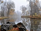 Rzeka, Kaczki, Kamienie, Park, Mgła, Jesień