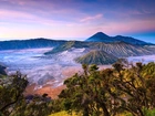 Góra, Bromo, Drzewa, Indonezja