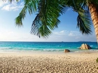 Ocean, Plaża, Palma, Tropiki