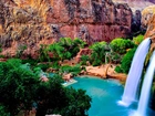 Wodospad Havasu, Skały, Drzewa, Arizona, Stany Zjednoczone