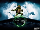 Teenage Mutant Ninja Turtles, Wojownicze Zółwie Ninja, dach, księżyc, nunchaku