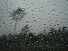 Deszcz, Krople, Las