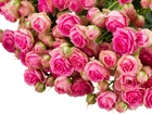 Kwiaty, Bukiet, Rozowe, Roze