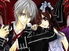 Vampire Knight, anime