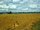 Pole, Snopy, Zboża, Chmury, Niebo