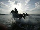 Konie, Dżokeje, Morze