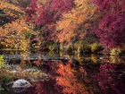 Jesień, Rzeka, Las, Kolorowe, Drzewa