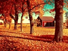Jesień, Żółte, Liście, Drzewa, Domek