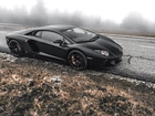 Lamborghini, Adventador, Droga, Drzewa, Mgła