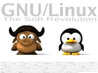 Linux, pingwin, grafika, bawół