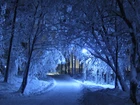 Zima, Śnieg, Park, Droga, Drzewa