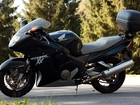 Honda, CBR, 1100xx