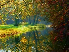 Jesień, Rzeka, Park