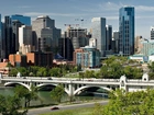 Panorama, Calgary, Rzeka, Bow, Most, Roślinność