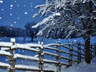 Zima, Śnieg, Noc, Drzewa, Ogrodzenie