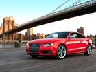 Czerwone, Audi, S5, Most