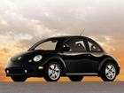 New Beetle, Czarne