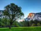 Góry, Las, Łąka, Park Narodowy Yosemite