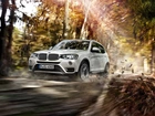 Bmw X3, Droga, Drzewa