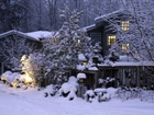 Zima, Dom, Drzewa, W Śniegu
