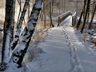 Zima, Śnieg, Park, Drzewa, Drewniany, Most, Ślady
