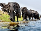 Słonie, Rzeka