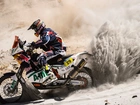 KTM, Motocyklista, Rajd, Dakar