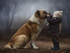 Pies, Dziecko, Drzewa Bullmastiff