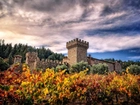 Kalifornia, Napa, Valley, Castello, Di Amorosa, Winnica