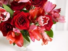Bukiet róż, Tulipany